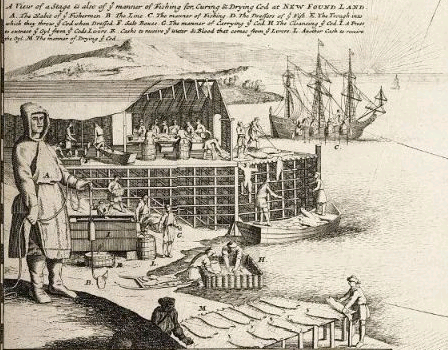 File:Moll - Inset Codfish Map.png