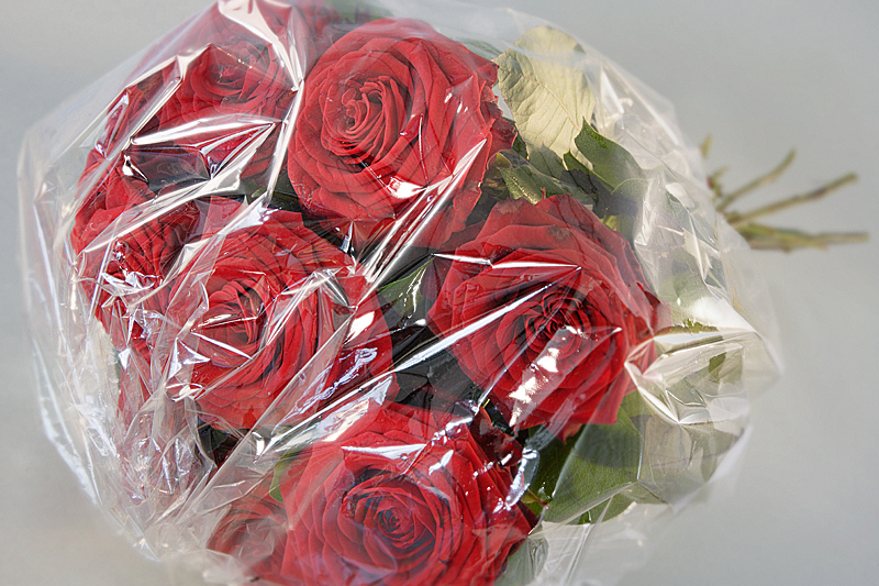 File:Flower Wrapping made of PLA-Blend Bio-Flex.jpg