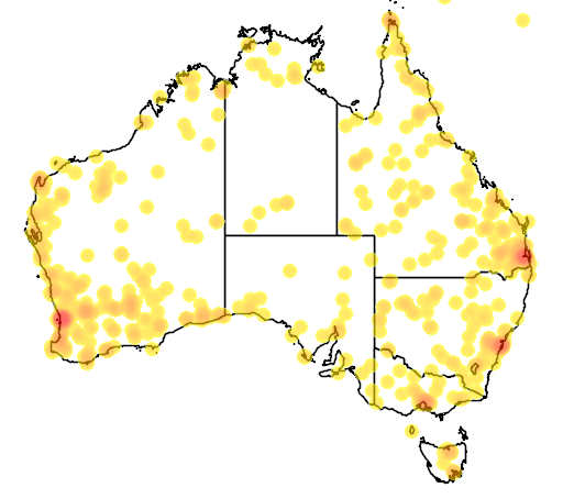 File:Redback spider records map.png