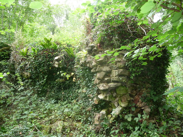 File:Part of Dinham Castle near Shirenewton, Monmouthshire - geograph - 3664851.jpg