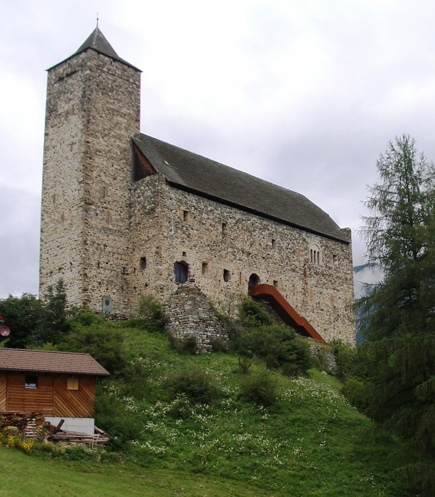 File:RaetiaAmpla01.JPG