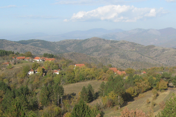 File:Vrtine.jpg