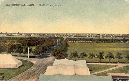 File:Lxx0825 Experimental farm, Indian Head 1911.jpg