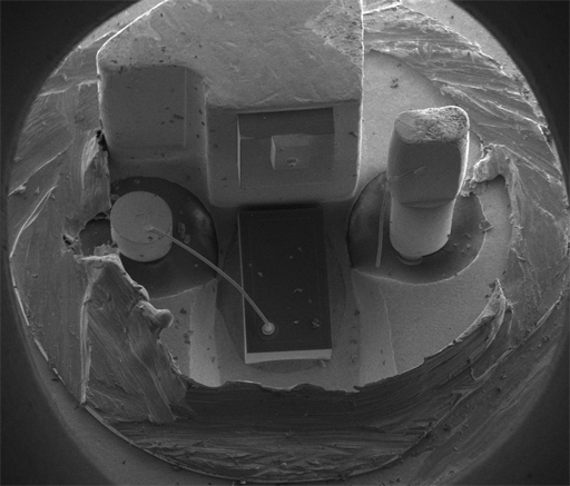 File:Laser diode with case cut away.jpg