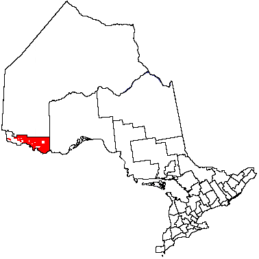 File:Unorg Rainy River.png