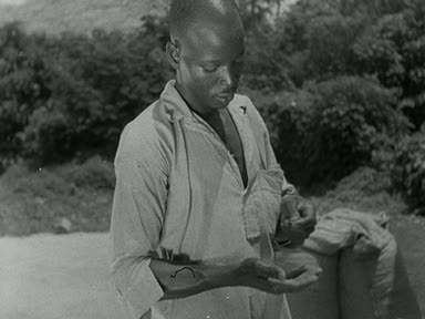 File:Nigerian Cocoa Farmer.jpg