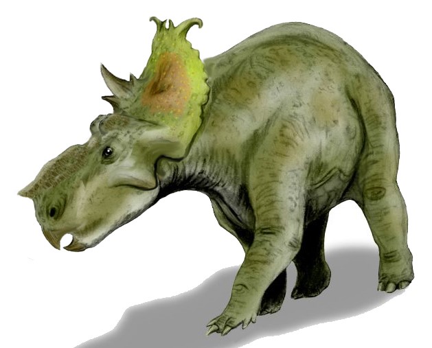 File:Pachyrhinosaurus BW flipped.jpg