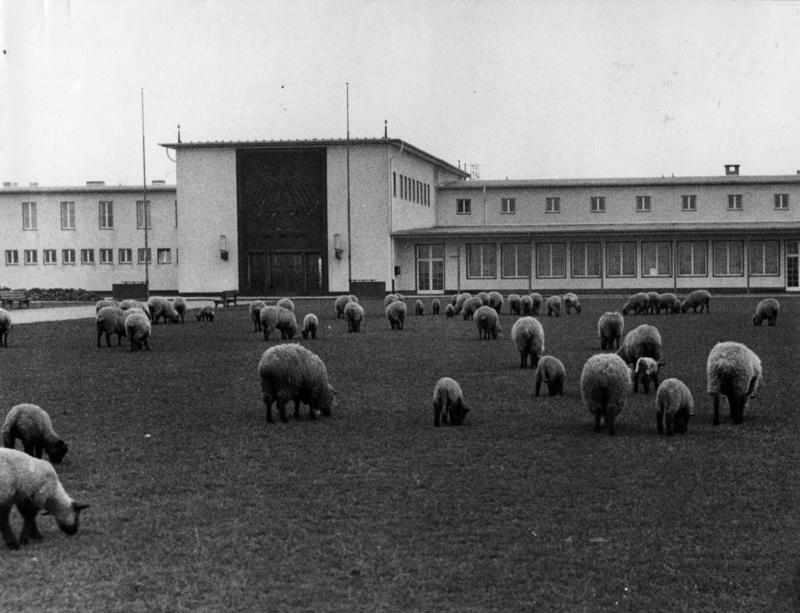 File:Bundesarchiv Bild 183-S28276, Köln, Flughafen, Haupteingang.jpg