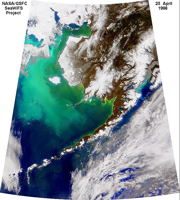 File:Coccolithophore bloom.jpg