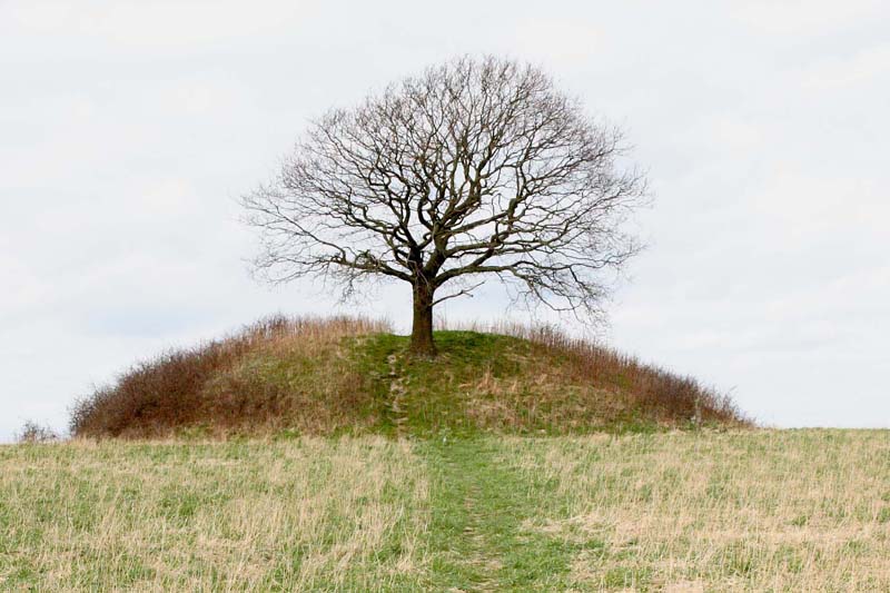 File:Mysselhoj da 070407.jpg
