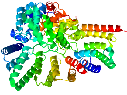 File:Rab geranylgeranyltransferase.png