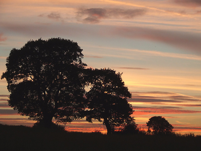 File:Higher Hurdsfield - Setting Sun.jpg