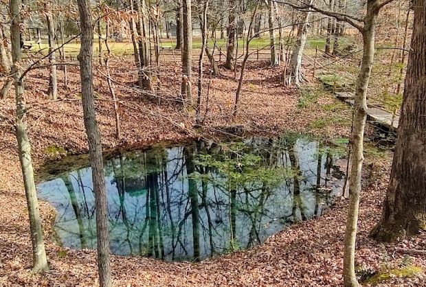 File:Blue Hole Spring.jpg