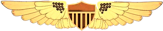 File:US Coast Guard Flight Officer Insignia.png
