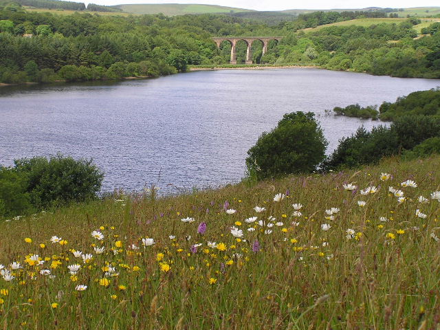 File:Wayoh Reservoir.JPG