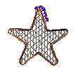 The Coaster Star