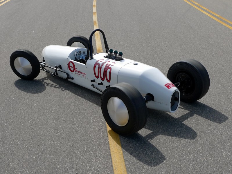 File:White owl rear shot.jpg