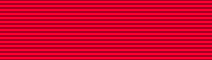 File:MTNG Volunteer Campaign Ribbon.PNG