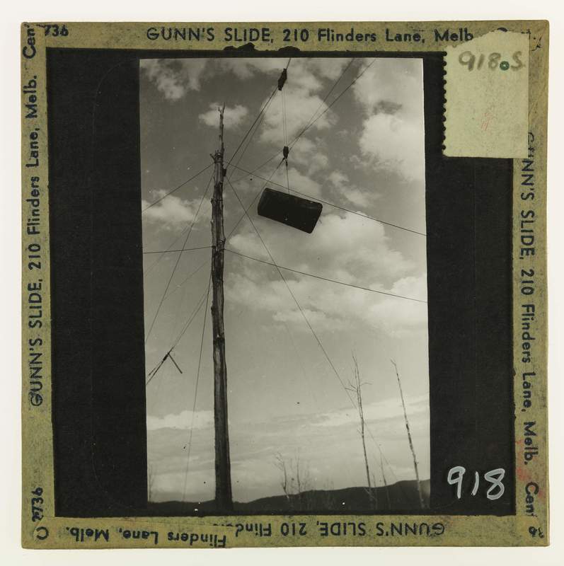 File:Cable logging and loading rig in mountain ash country. Thomson Valley.jpg