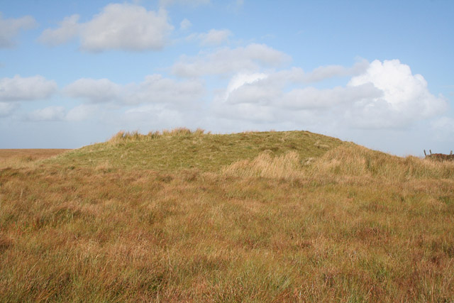File:Exmoor, Wood Barrow - geograph.org.uk - 58659.jpg
