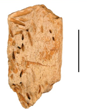File:Bone boring.png