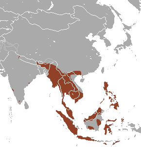 File:Cave Nectar Bat area.png