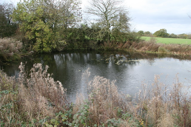File:Haughton - Mere.jpg