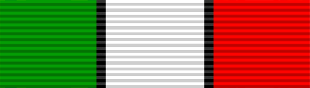 File:NY Desert Storm Service Medal.PNG