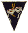File:VF-821 USNR squadron.jpg