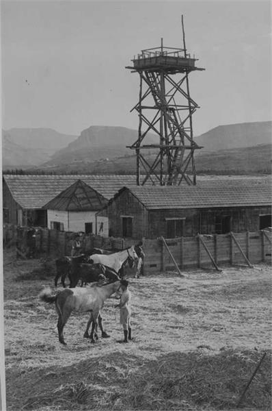 File:גינוסר - על אדמת פיק"א-JNF009239.jpeg