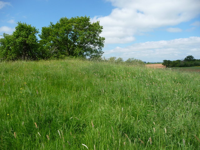 File:Middle Hendre Round Barrow - geograph - 3502426.jpg