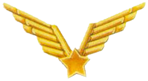 File:VJ avijcija.png
