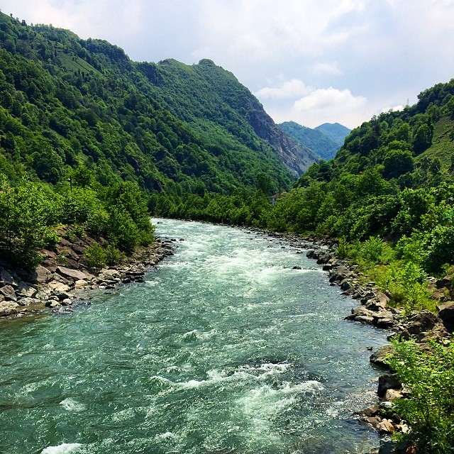 File:-river -green -nature -forest -sky -cloud -trabzon -ayder (14344079581).jpg
