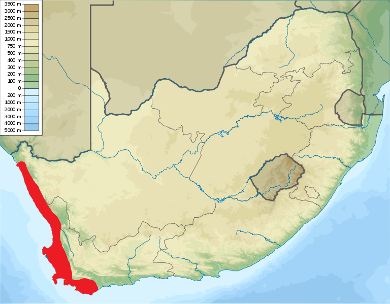 File:Moegistorhynchus longirostris dist.png