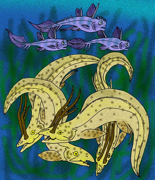 File:Harpagofututor volsellorhinus.jpg