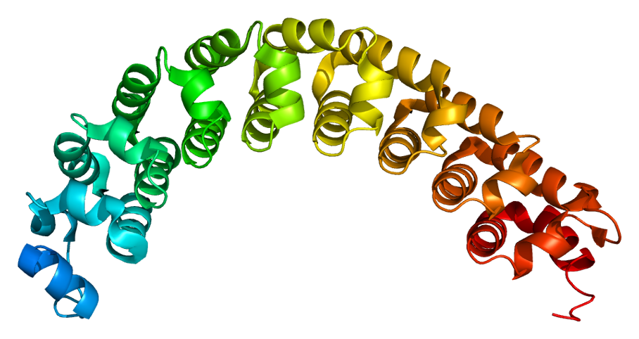 File:Protein PUM1 PDB 1ib2.png