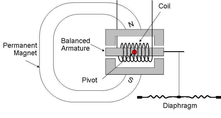 File:Bal Arm.JPG