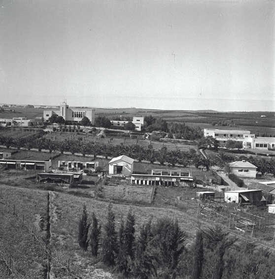 File:משק הפועלות בעינות-JNF000820.jpeg