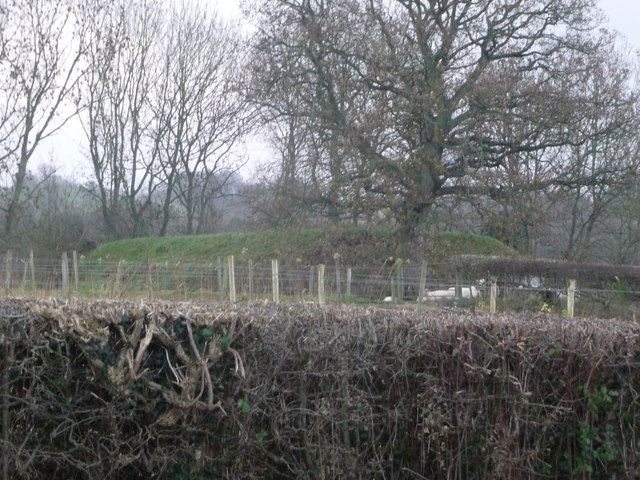 File:Llanfair Kilgeddin motte - geograph - 3255322.jpg