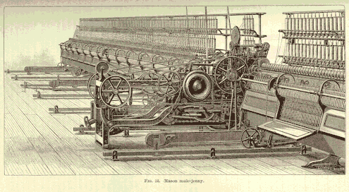 File:MuleJenny.gif