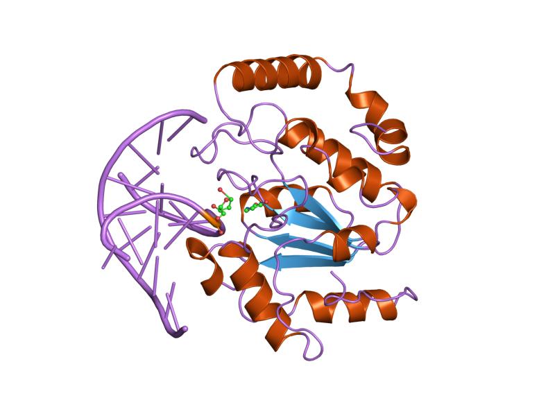 File:PDB 4skn EBI.jpg