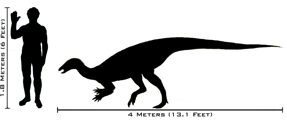 File:Human-thescelosaurus size comparison.png
