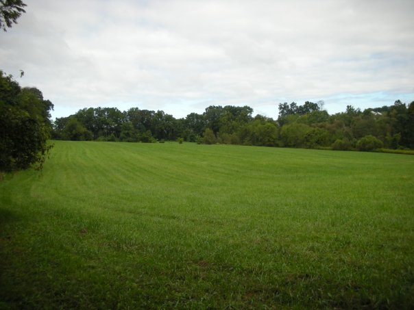 File:MiddleRunArea Field LenapeTrail.jpg