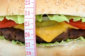 File:Measuring a burger.jpg