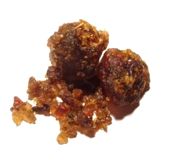 File:Commiphora-wightii-resin.jpg