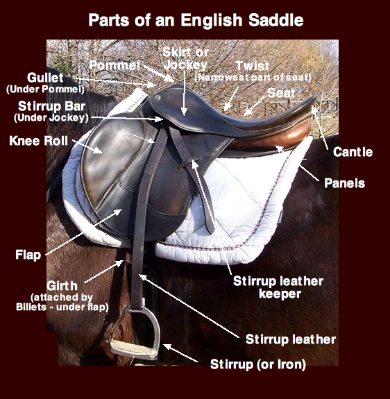 File:EnglishSaddleParts.png