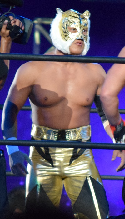 File:Tiger Mask IV 2015.JPG