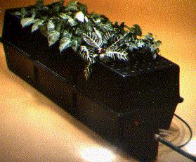 File:GTI-Aeroponic-rooting system-1983.jpg