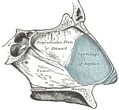 File:Gray854.png