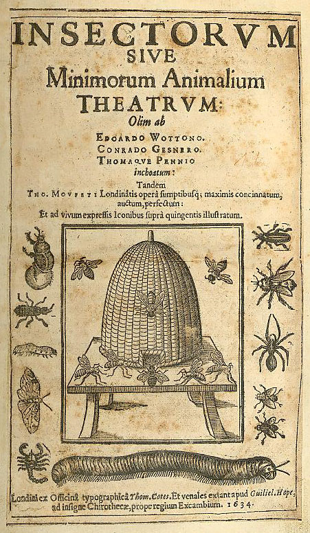 File:Theater of Insects.jpg
